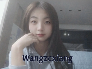 Wangzcxiang