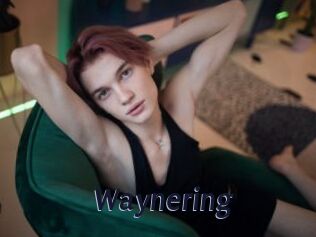 Waynering