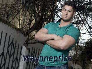 Waynneprice