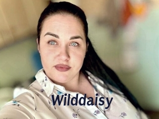 Wilddaisy