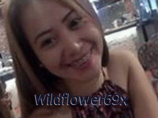 Wildflower69x