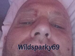 Wildsparky69