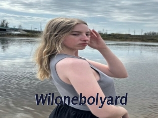 Wilonebolyard