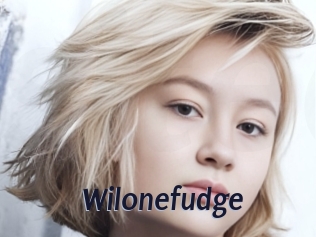 Wilonefudge