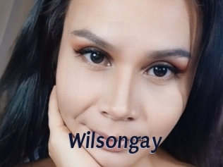 wilsongay Site Cul