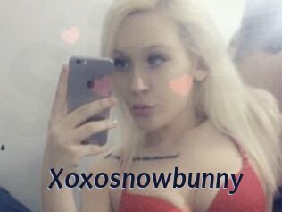 Xoxosnowbunny