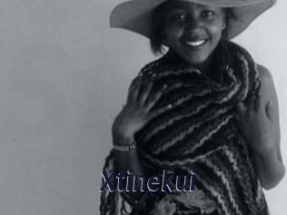 Xtinekui