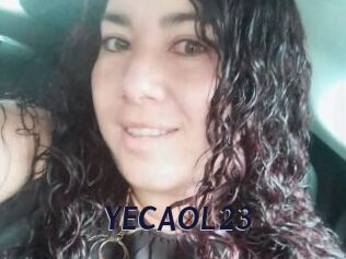 YECAOL23