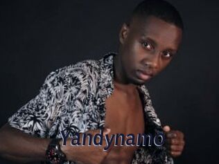 Yandynamo