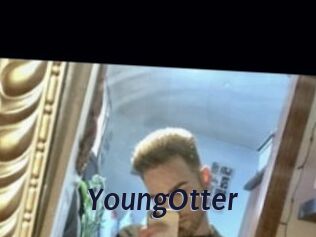 YoungOtter Site Cul