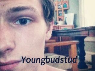 Youngbudstud