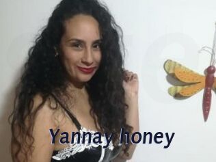 Yannay_honey