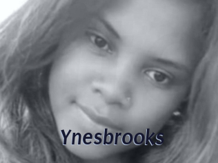 Ynesbrooks