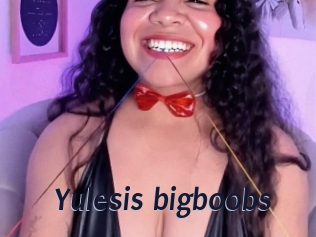 yulesis_bigboobs Site Cul
