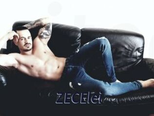 ZECElei