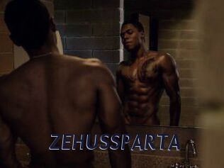 ZEHUS_SPARTA