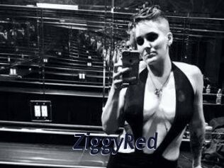 ZiggyRed