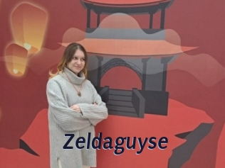 Zeldaguyse
