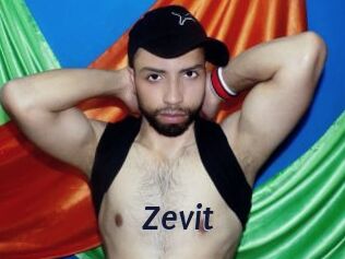 Zevit